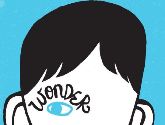 Recommendation #33 - Wonder is finished!